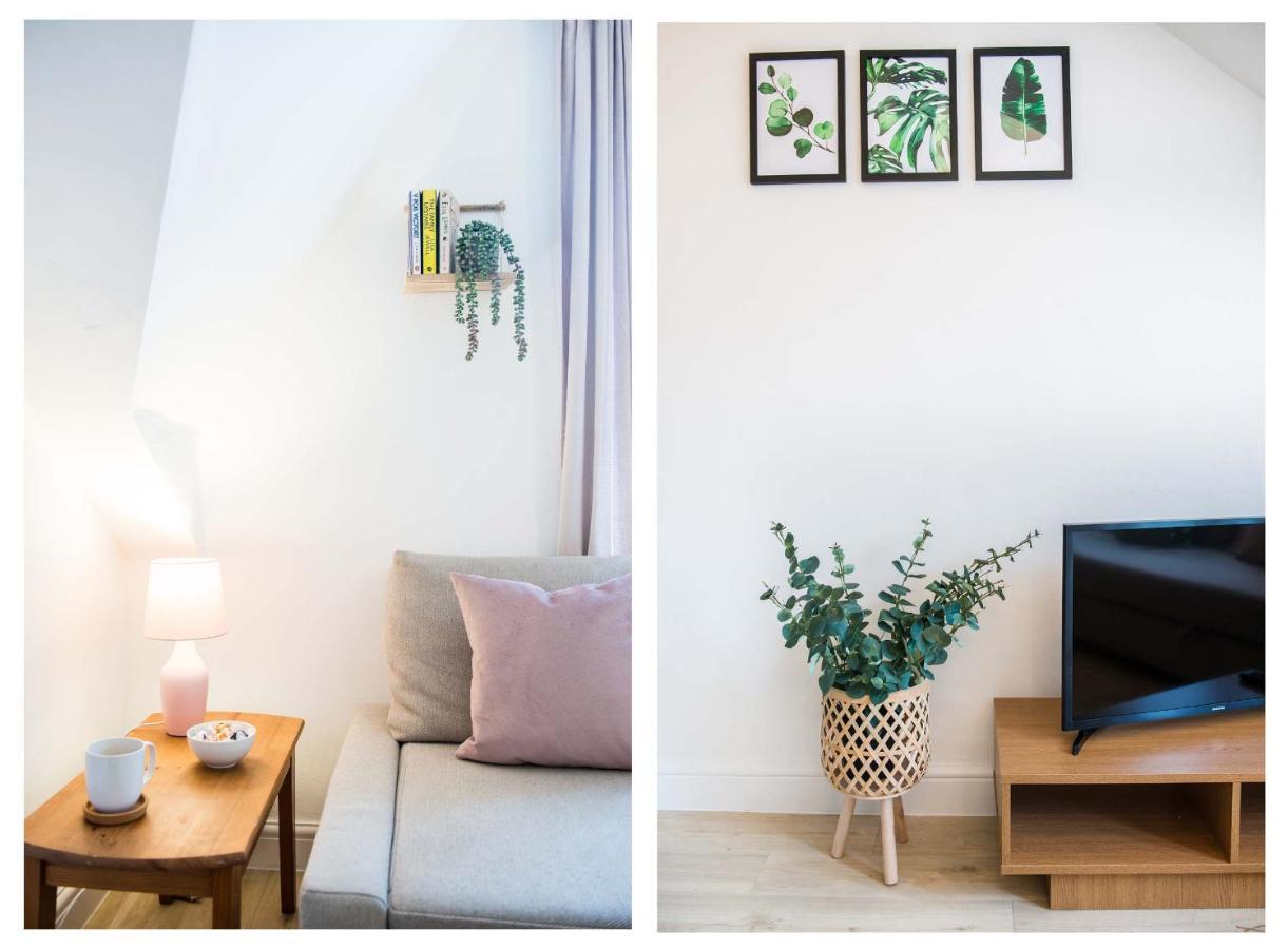 1 Bed Central Cardiff Loft Apartment Near Stadium 外观 照片